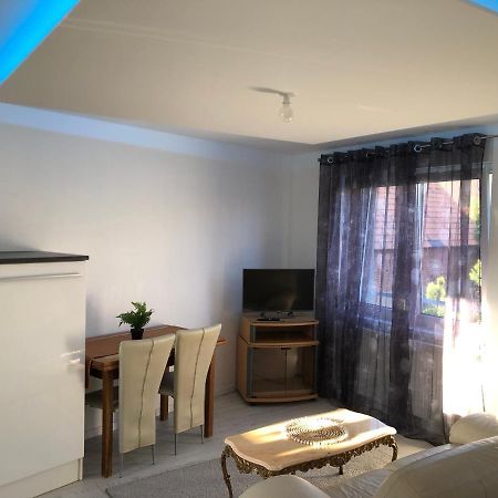 Appartement Willa Chez Willi Niederschaeffolsheim Kültér fotó