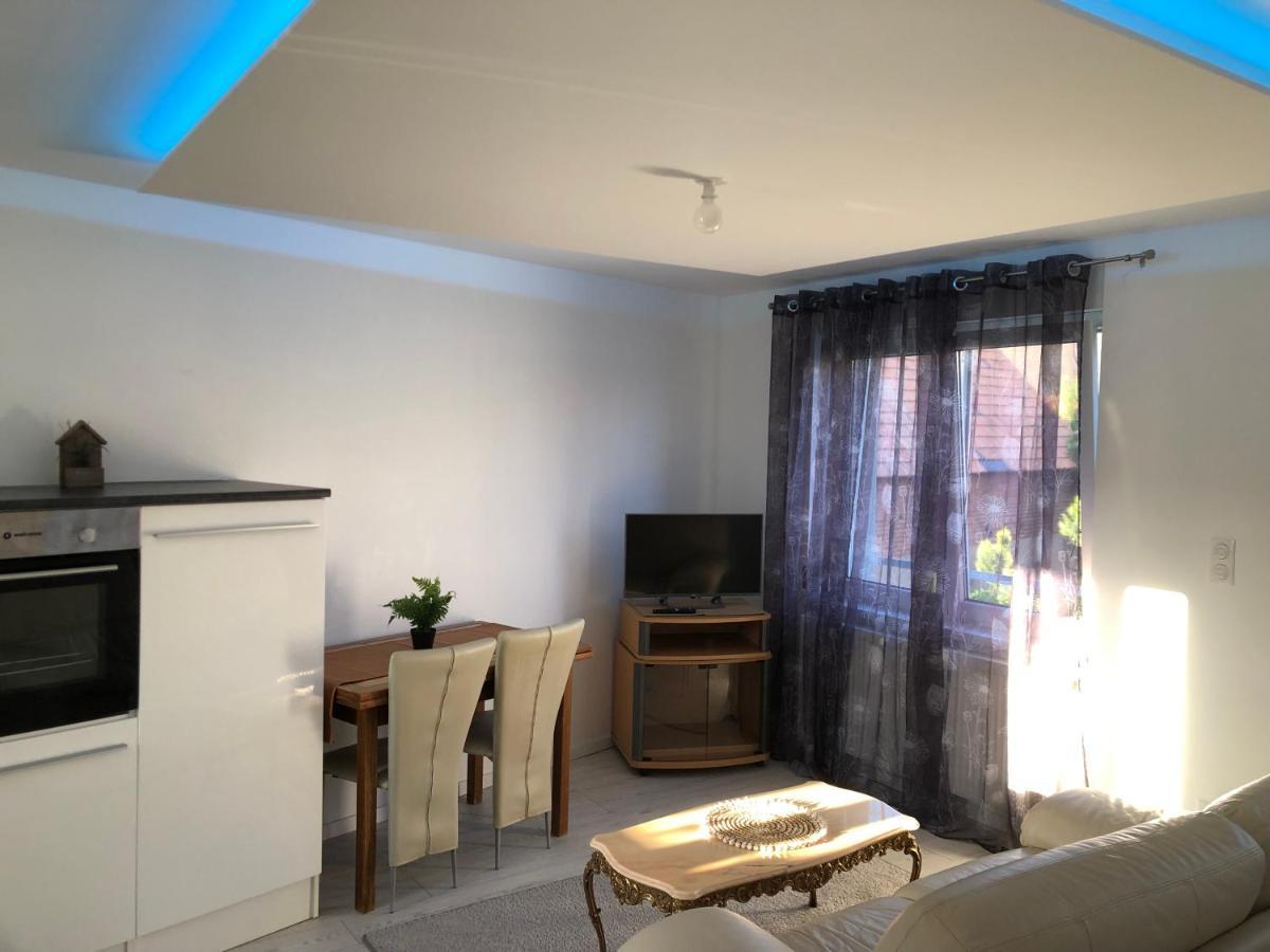 Appartement Willa Chez Willi Niederschaeffolsheim Kültér fotó