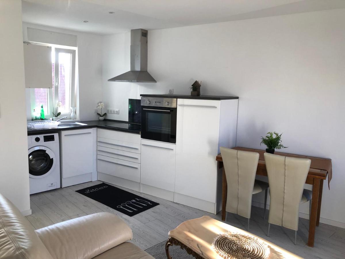 Appartement Willa Chez Willi Niederschaeffolsheim Kültér fotó