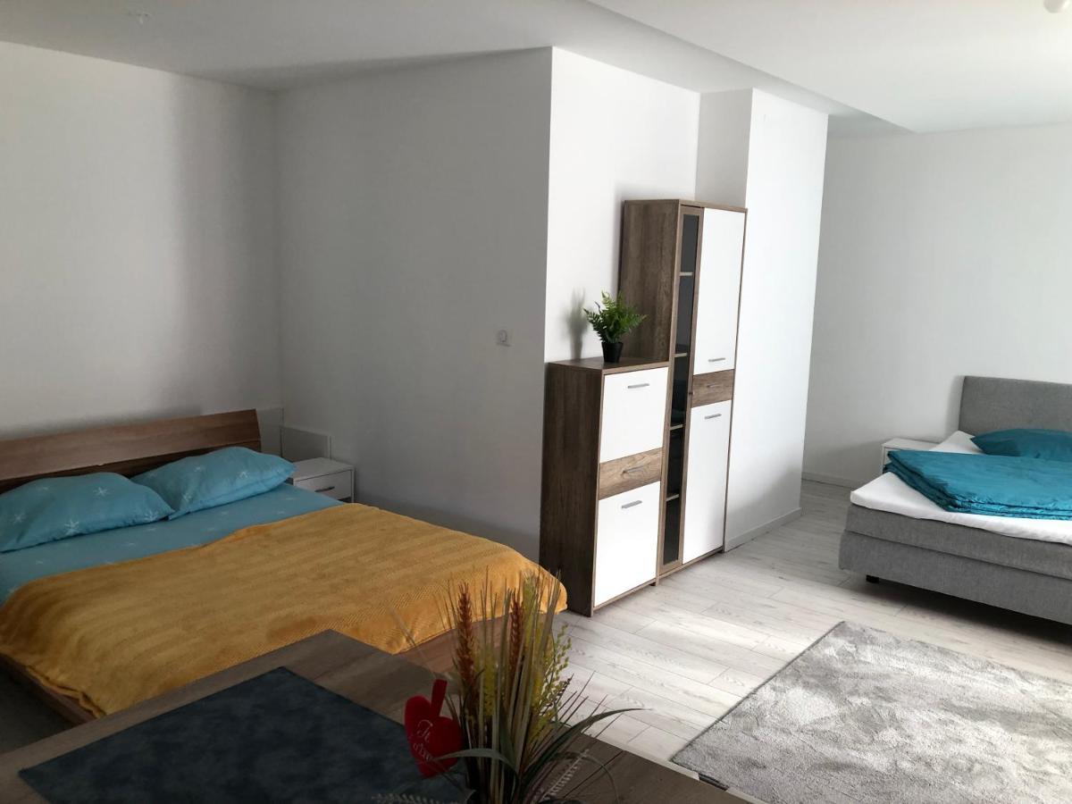 Appartement Willa Chez Willi Niederschaeffolsheim Kültér fotó